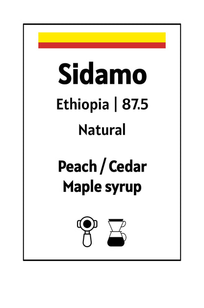 Ethiopia Sidamo